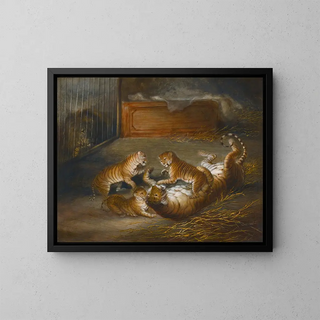 Richard Barrett Davis - Three liger Cubs Bred Between A Lion And A Tigress At The Royal Menagerie.webp