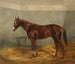 Le cheval de course Fantôme - Richard Benno Adam — Ansicht des Kunstwerks