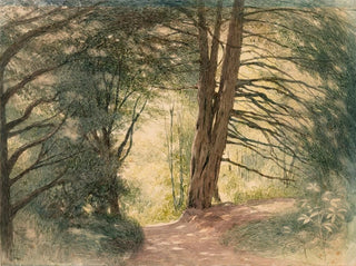 Boxhill, Surrey - Richard Doyle — Ansicht des Kunstwerks