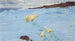 Spiele im Schnee - Richard Friese — Ansicht des Kunstwerks
