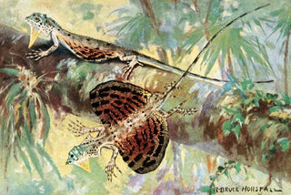 Robert Bruce Horsfall - The flying dragon.webp