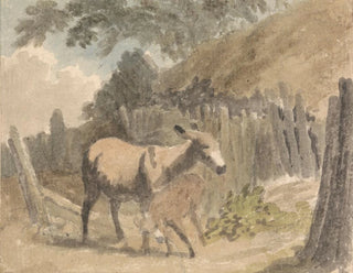 Robert Hills - A Donkey and Foal.webp