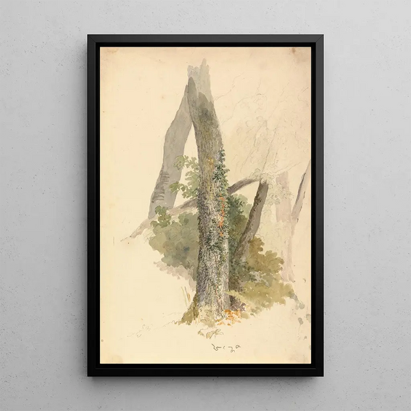 Studie eines Baumes mit KletterEfeu auf einem Baumstumpf - Robert Hills — gerahmtes Bild an der Wand