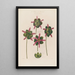 Anatomie der Sarracenia oder Urnenpflanze - Robert John Thornton — gerahmtes Bild an der Wand