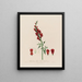 Antirrhinum majus ou grande gueule de loup - Robert John Thornton — gerahmtes Bild an der Wand