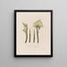 Calla äthiopische oder Calla afrikanische - Robert John Thornton — gerahmtes Bild an der Wand