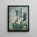Jacinthes - Robert John Thornton — gerahmtes Bild an der Wand
