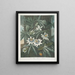 La Fleur de la passion bleue - Robert John Thornton — gerahmtes Bild an der Wand