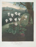 Le Cyclamen de Perse - Robert John Thornton — Ansicht des Kunstwerks