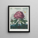 Der Rhododendron ponticum - Robert John Thornton — gerahmtes Bild an der Wand