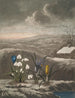 Der Schneeglöckchen - Robert John Thornton — Ansicht des Kunstwerks