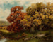 Laubwerk der Adirondacks - Robert Melvin Decker — Ansicht des Kunstwerks