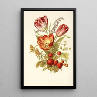 Robert Tyas - Strawberry Mignonette Blue Bell Tulip.webp