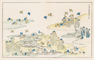 Rokkaku Shisui - Shinsen moyo no shiori Pl12.webp
