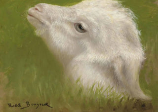 Rosa Bonheur - Head Of A Lamb.webp