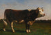 König der Herde - Rosa Bonheur — Ansicht des Kunstwerks