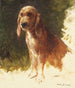 Studie eines Hundes - Rosa Bonheur — Ansicht des Kunstwerks