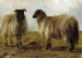 Zwei Widder in einer Landschaft - Rosa Bonheur — Ansicht des Kunstwerks