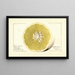 Citrus paradisi Silver Cluster - Royal Charles Steadman — gerahmtes Bild an der Wand
