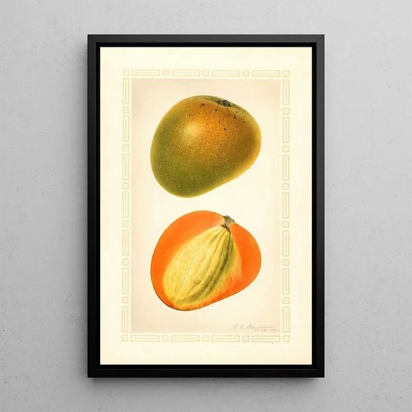 Mangifera indica Baboony - Royal Charles Steadman - Royal Charles Steadman — gerahmtes Bild an der Wand