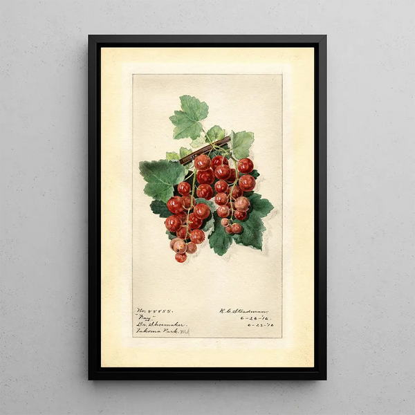 Ribes Fay - Royal Charles Steadman - Royal Charles Steadman — gerahmtes Bild an der Wand