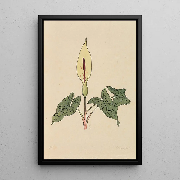 Buch der Blumen - Rudolf Koch — gerahmtes Bild an der Wand