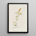 Verge d'or précoce - S Fred Prince — gerahmtes Bild an der Wand