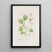 Liseron - S Fred Prince — gerahmtes Bild an der Wand