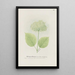 Hydrangea sauvage - S Fred Prince — gerahmtes Bild an der Wand