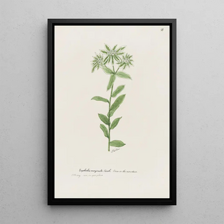 S Fred Prince - Snowonthemountain.webp