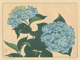 Sakai Hoitsu - Hydrangea.webp