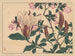 Magnolie - Sakai Hōitsu — Ansicht des Kunstwerks