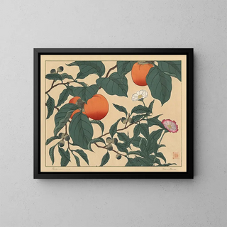 Sakai Hoitsu - Persimmon.webp