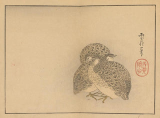 Sakai Hoitsu - Sakai Hoitsu gajo Pl20.webp