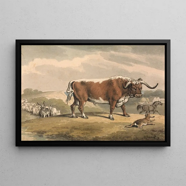 Ein Stier und ein Hase - Samuel Howitt — gerahmtes Bild an der Wand