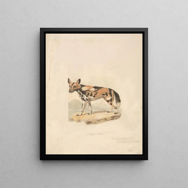 Samuel Howitt - Abyssinian Dog.webp