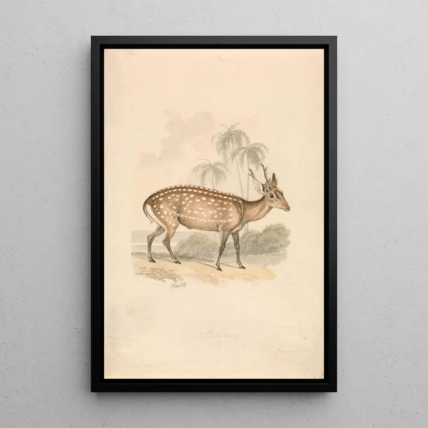 Hirsch-Schwein - Samuel Howitt — gerahmtes Bild an der Wand