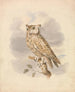 Petit-duc - Samuel Howitt — Ansicht des Kunstwerks
