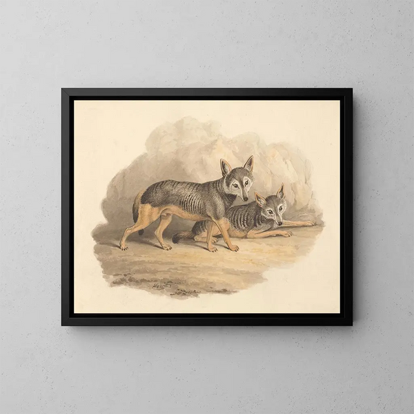 Zwei Hyänen - Samuel Howitt — gerahmtes Bild an der Wand