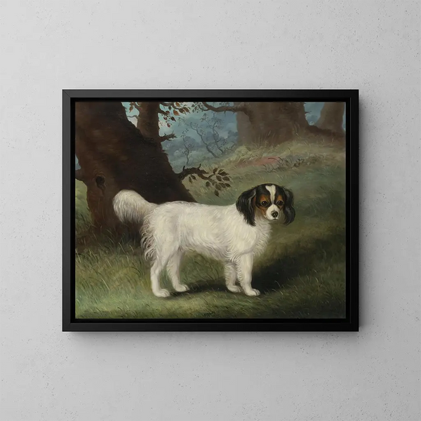 King Charles Spaniel - Samuel Spode — gerahmtes Bild an der Wand