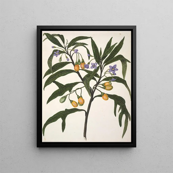 Bonjour - Sarah Featon — gerahmtes Bild an der Wand