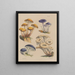 Illustrationen der Pilze unserer Felder und Wälder Pl19 - Sarah Price — gerahmtes Bild an der Wand