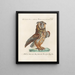 Ornithologie methodisch verdaut Pl083 - Saverio Manetti — gerahmtes Bild an der Wand