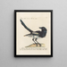 Ornithologie methodisch verdaut Pl152 - Saverio Manetti — gerahmtes Bild an der Wand