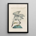 Ornithologia methodice digesta Pl405 - Saverio Manetti — gerahmtes Bild an der Wand