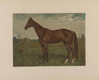 Edwin Thorne - Scott Leighton — Ansicht des Kunstwerks
