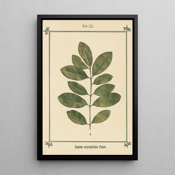 Sebastian Kneipp - Plantatlas to My watercure Pl23.webp