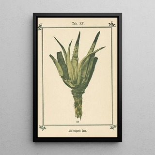 Sebastian Kneipp - Plantatlas to My watercure Pl34.webp