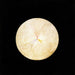 Serie SUW Nr. 14 Schwan - Hilma af Klint — Ansicht des Kunstwerks