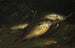 Fisch - Shepard Alonzo Mount — Ansicht des Kunstwerks